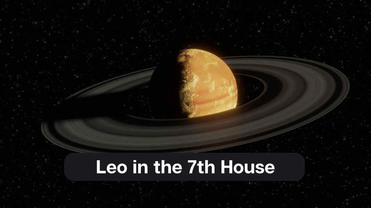 Leo en la Casa 7 – Una guía completa
