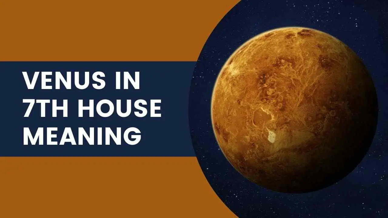 Significado de Venus en la Casa 7: ¡Aprenda sobre Venus en el matrimonio en la Casa 7 y más!