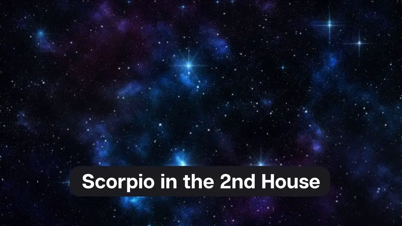 Escorpio en la Casa 2: una guía completa