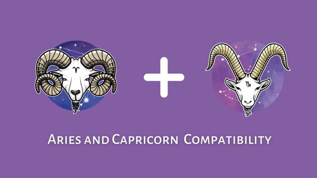 Compatibilidad de Aries y Capricornio: ¿Son compatibles Capricornio y Aries? | Compatibilidad entre el hombre Capricornio y la mujer Aries