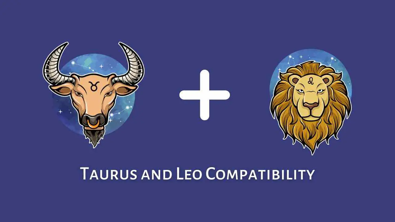 Compatibilidad entre Tauro y Leo: ¿son compatibles Leo y Tauro? [Updated ]
