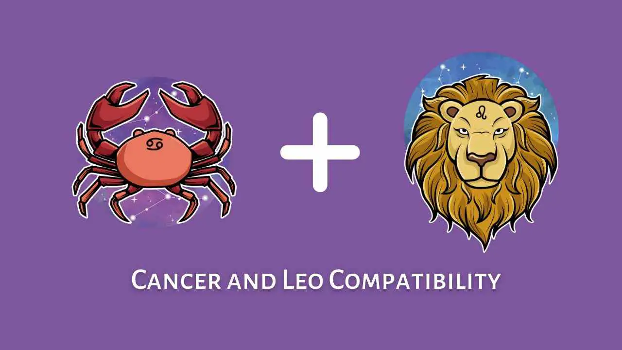 Compatibilidad entre Cáncer y Leo: ¿son compatibles Leo y Cáncer? [Updated ]