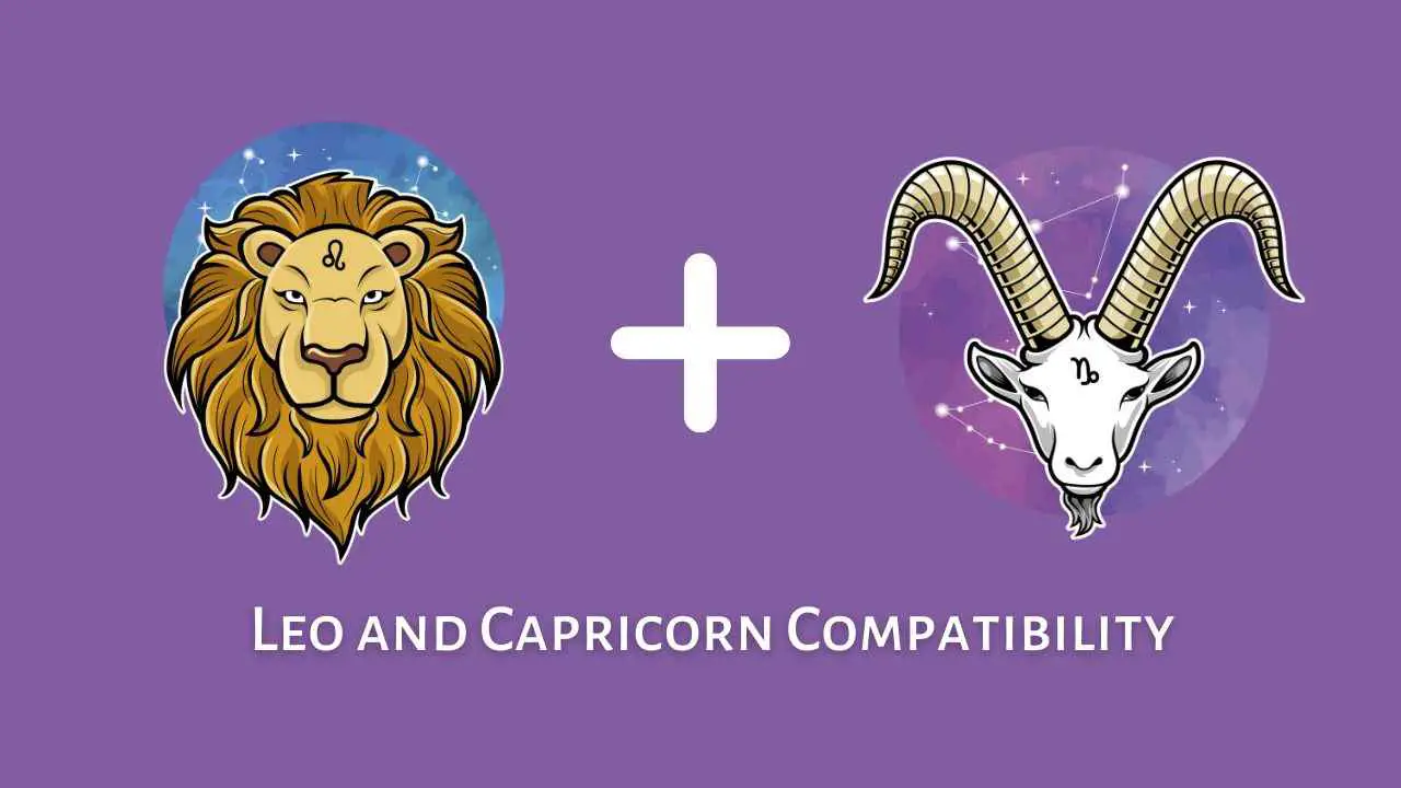 Compatibilidad Leo y Capricornio: ¿Son compatibles Capricornio y Leo? [Updated ]