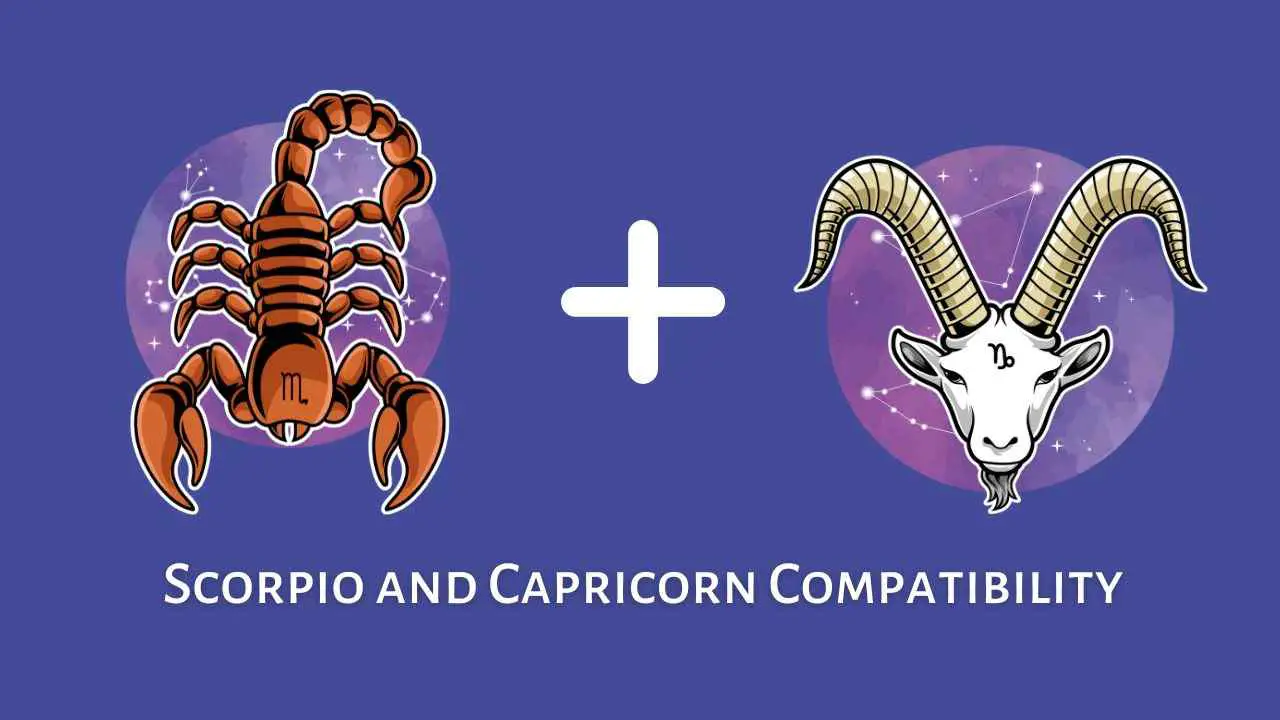 Compatibilidad entre Escorpio y Capricornio: ¿son compatibles Capricornio y Escorpio? [Updated ]