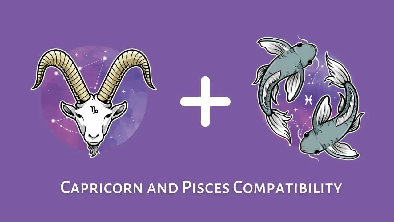 Compatibilidad Capricornio y Piscis: ¿Son compatibles Piscis y Capricornio? [Updated ]