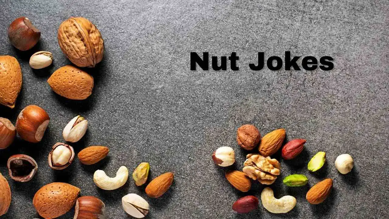 Los 40 mejores chistes de nueces: 40 frases ingeniosas sobre chistes de nueces