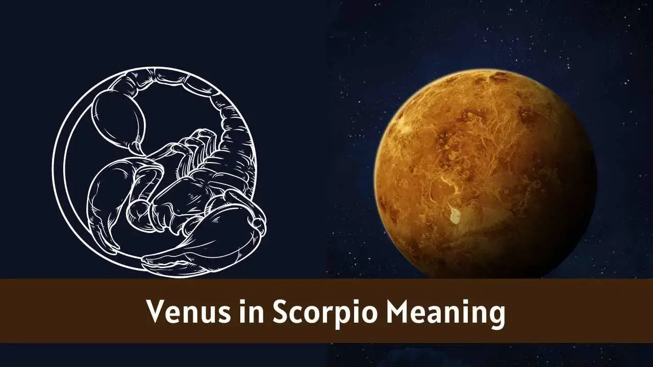 Venus en Escorpio – Todo lo que necesitas saber sobre “Venus en Escorpio” – eAstroHelp