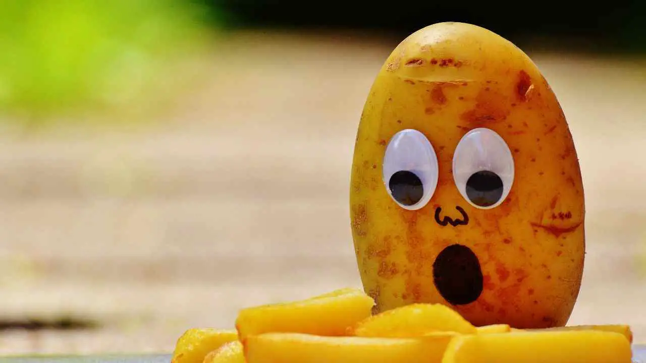 Los 60 mejores chistes sobre patatas: 60 chistes sobre puré de patatas