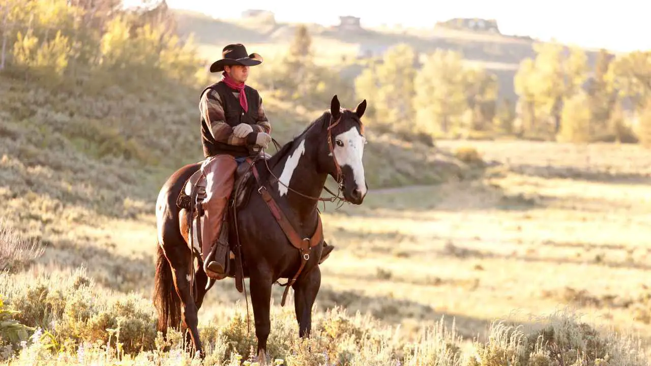 Los 50 mejores chistes de vaqueros: 50 frases ingeniosas sobre chistes de vaqueros