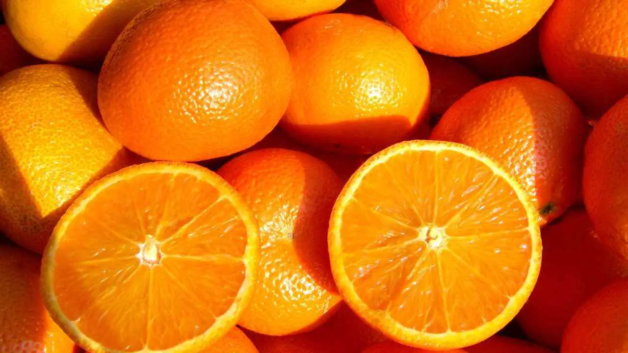 Los 35 mejores juegos de palabras y chistes naranjas: 35 juegos de palabras naranjas para Instagram