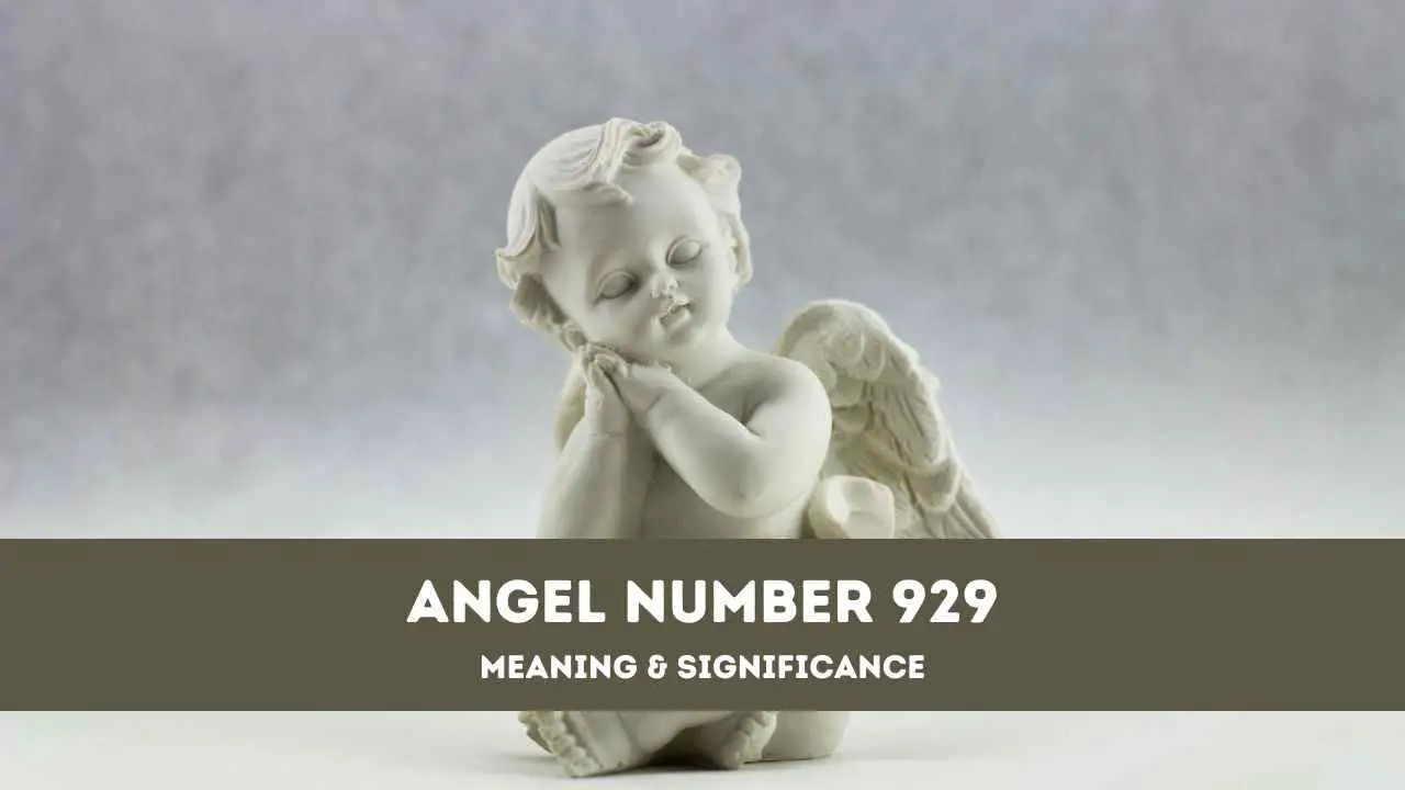 Número de ángel 929: una guía completa sobre el significado y el significado del ángel número 929