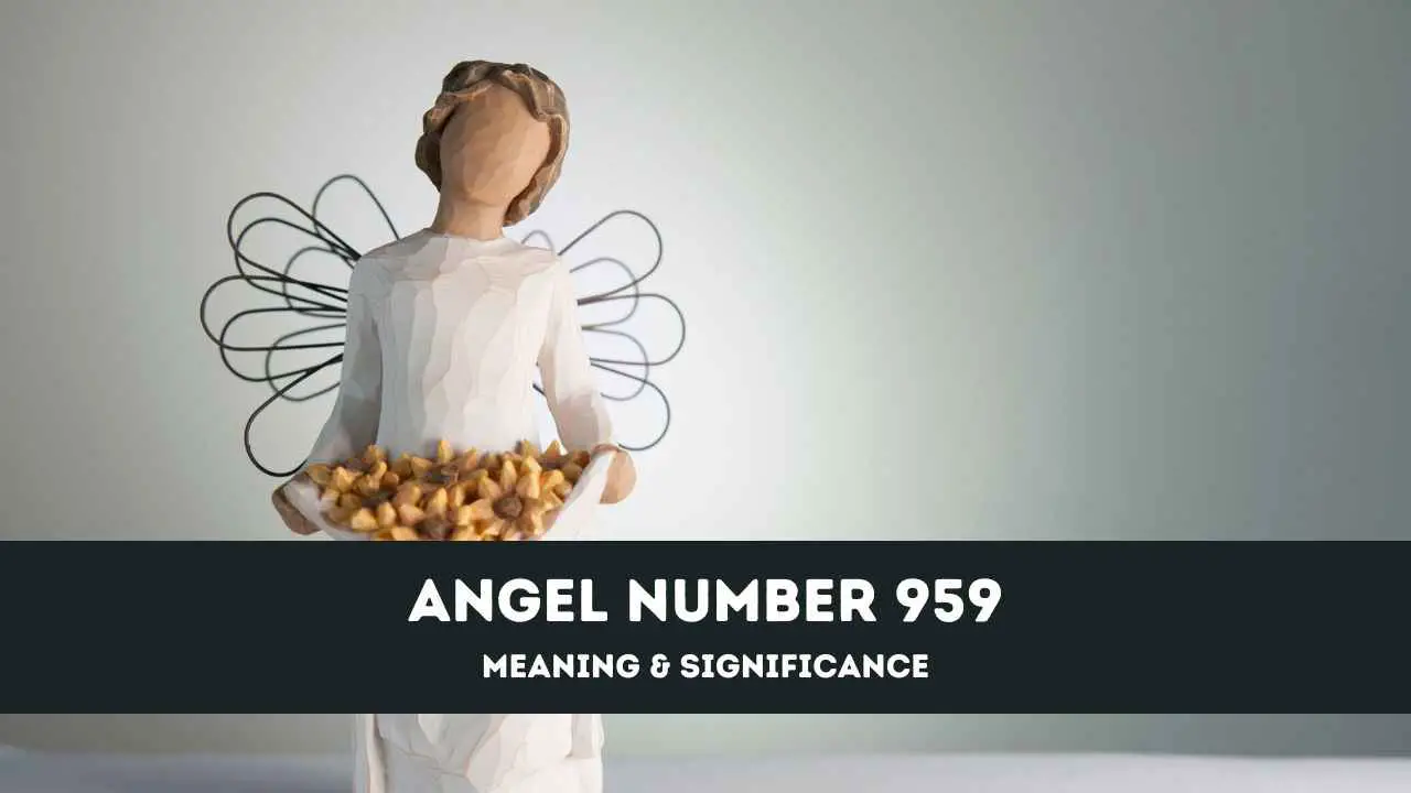 Número de ángel 959: una guía completa sobre el significado y el significado del ángel número 959