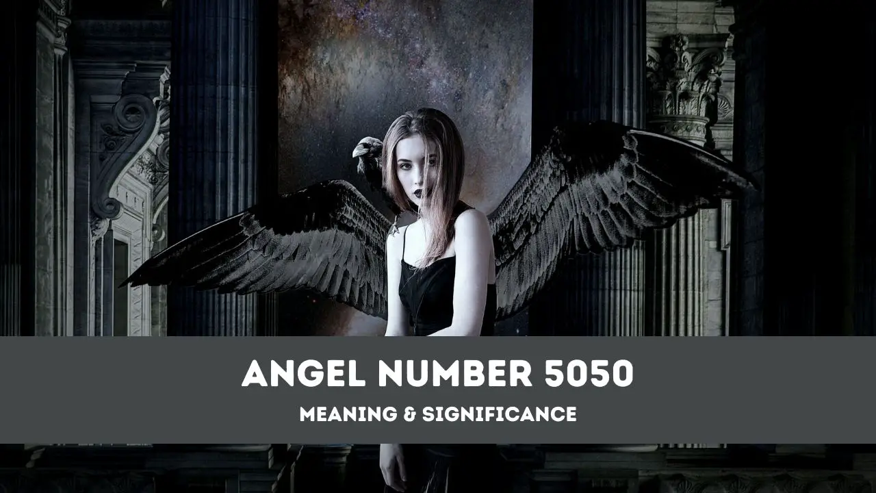 Número de ángel 5050: una guía completa sobre el significado y el significado del número de ángel 5050
