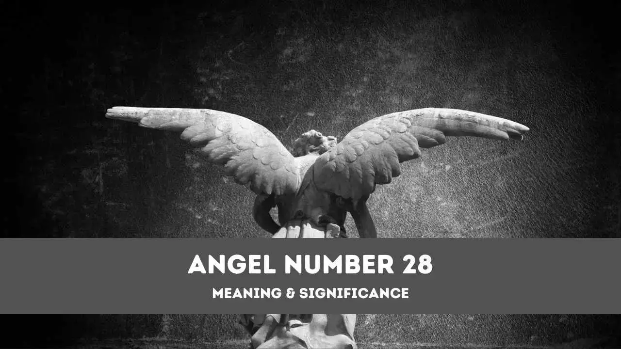 Número de ángel 28: una guía completa sobre el significado y la importancia del ángel número 28