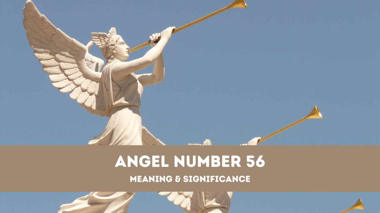 Número de ángel 56: una guía completa sobre el significado y la importancia del ángel número 56