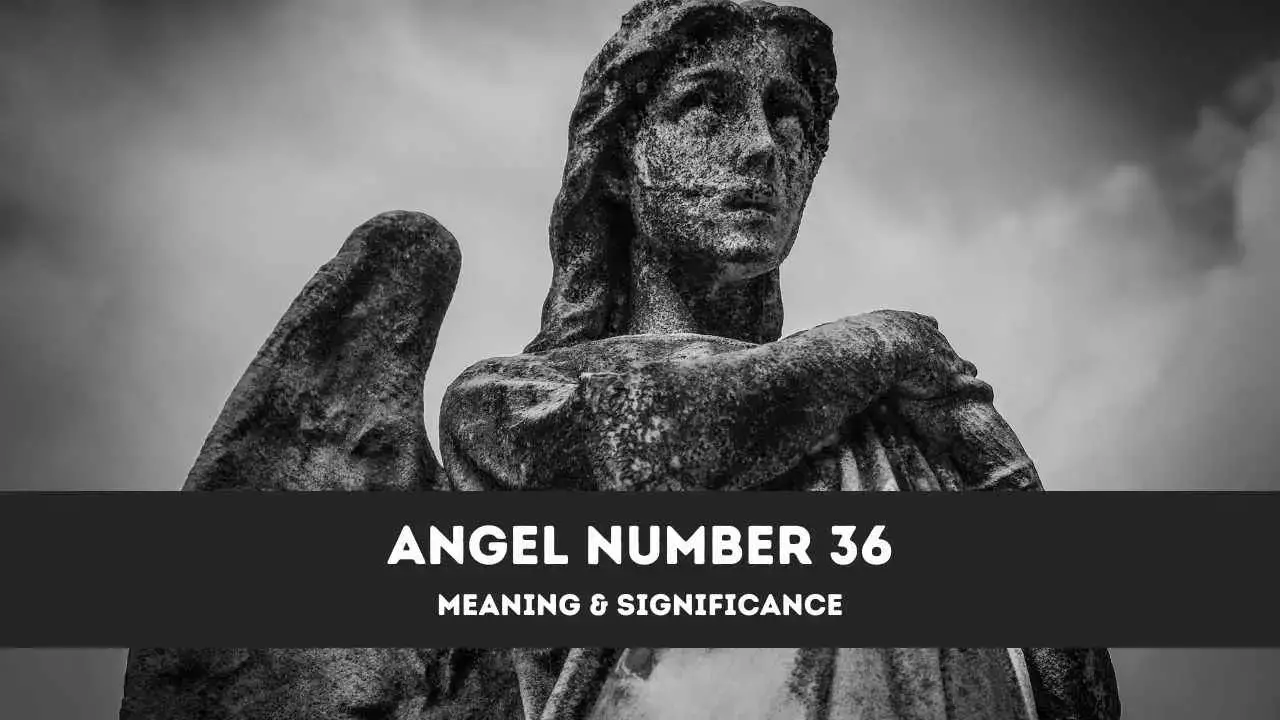 Número de ángel 36: una guía completa sobre el significado y la importancia del ángel número 36