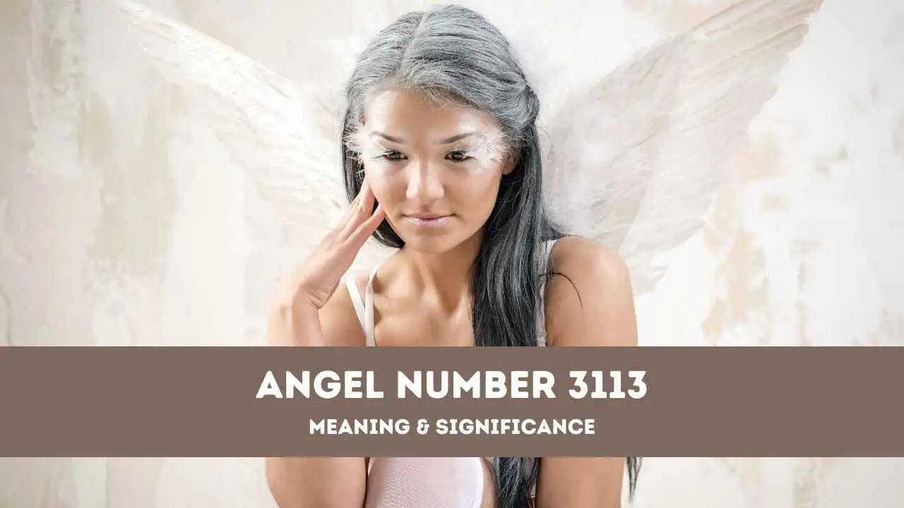 Número de ángel 3113: una guía completa sobre el significado y el significado del ángel número 3113