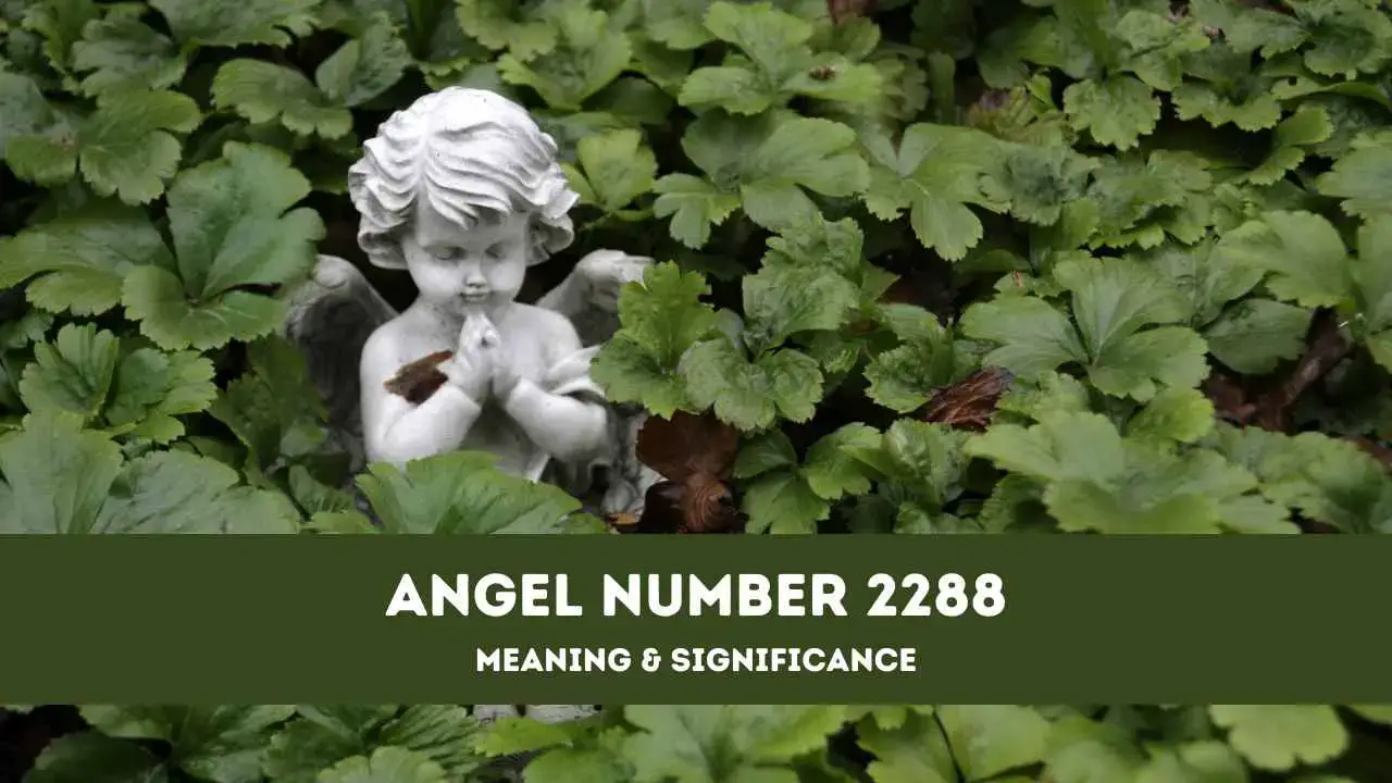 Número de ángel 2288: una guía completa sobre el significado y el significado del número de ángel 2288