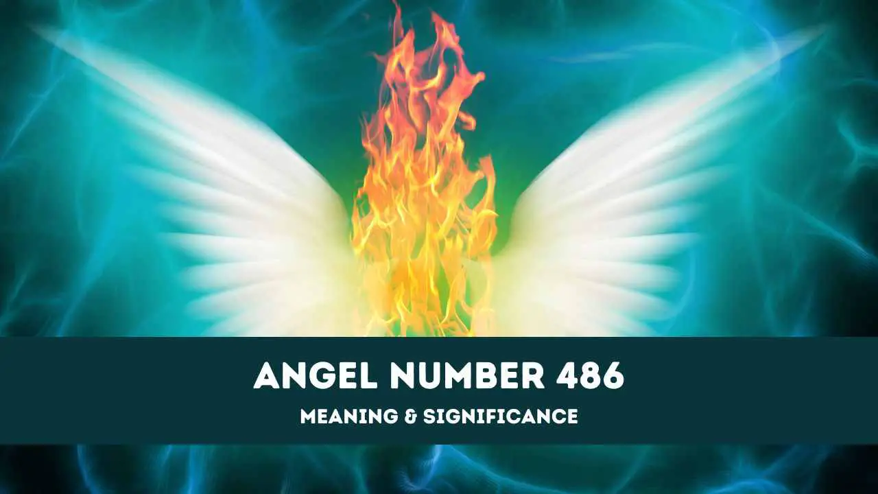 Número de ángel 486: una guía completa sobre el significado y el significado del ángel número 486