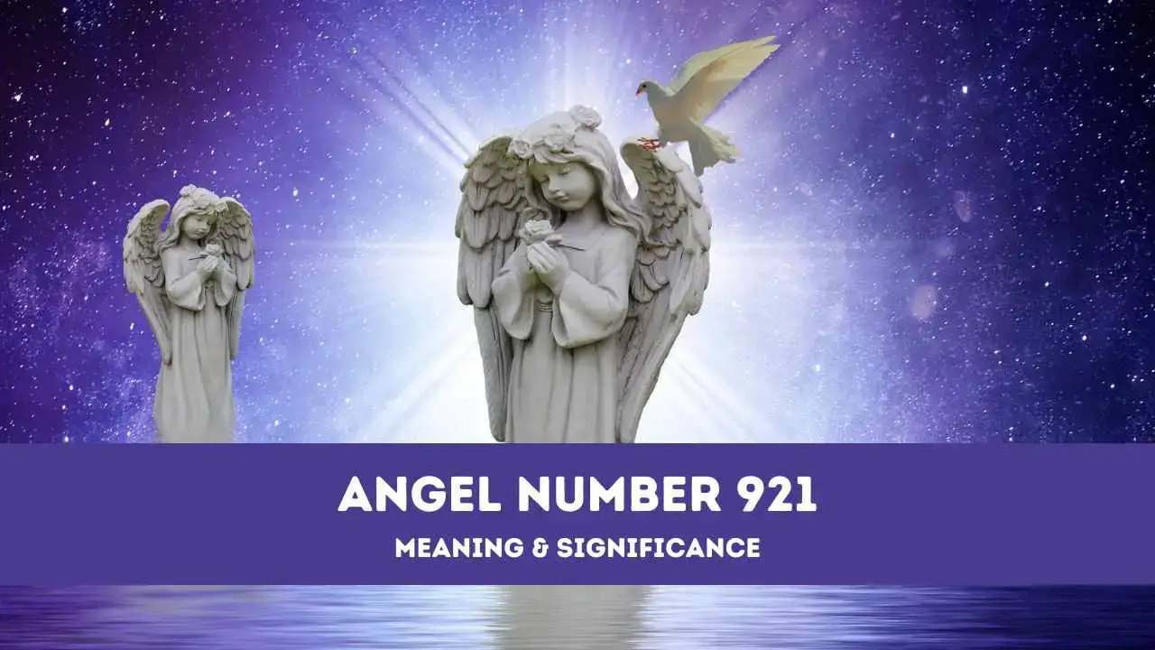 Número de ángel 921: una guía completa sobre el significado y el significado del ángel número 921