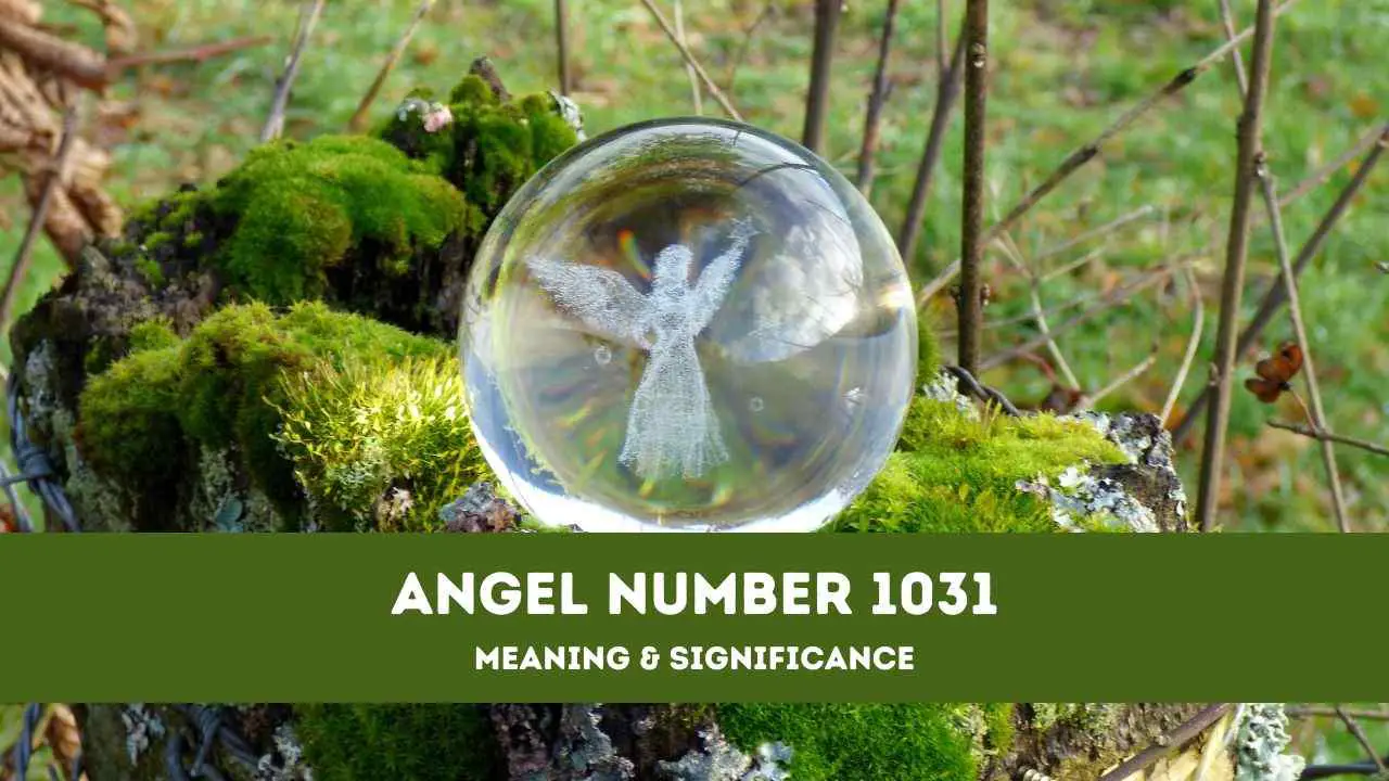 Número de ángel 1031: una guía completa sobre el significado y el significado del número de ángel 1031
