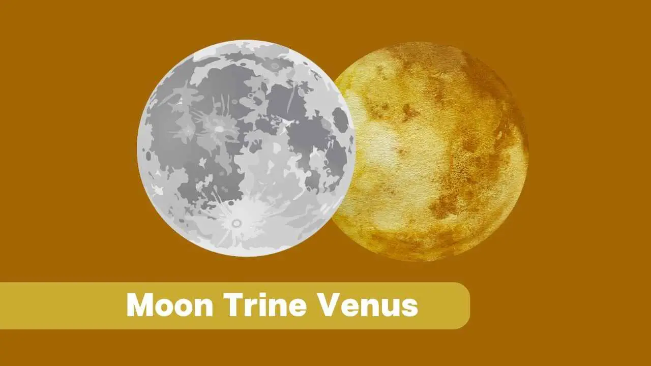 Luna Trígono Venus: todo lo que debes saber