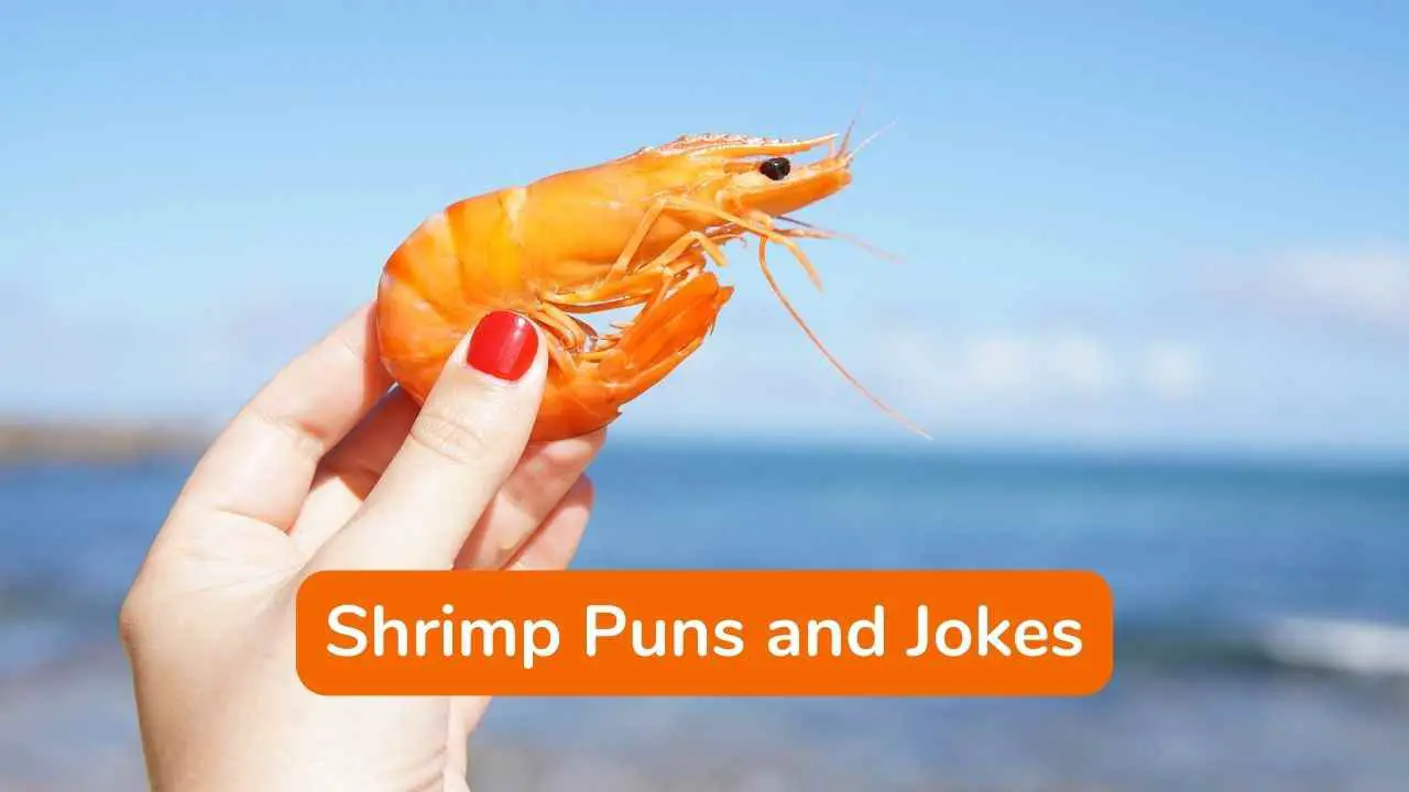 45 chistes y juegos de palabras divertidos sobre camarones que te encantarán