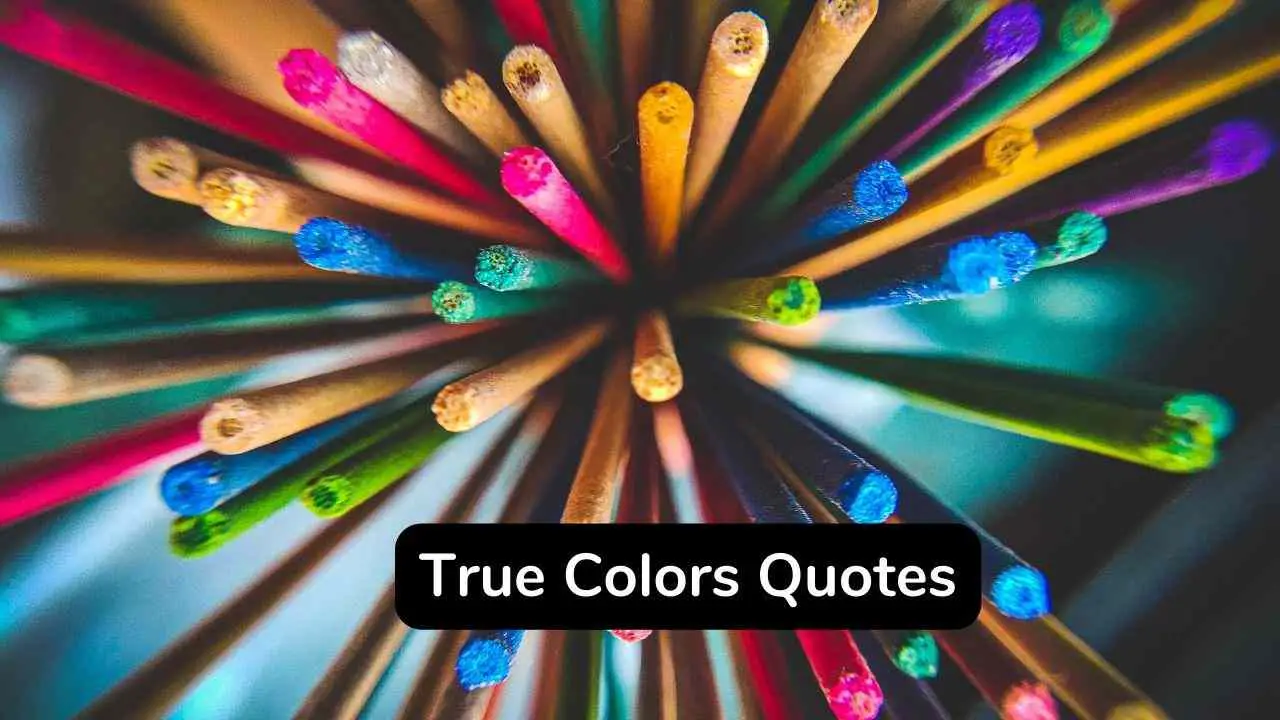 ¡Las 40 mejores citas sobre colores verdaderos que no debes perderte!