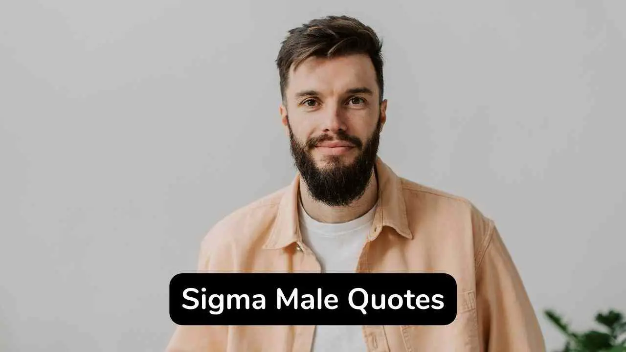 45 citas inspiradoras de Sigma Men para alegrarte el día