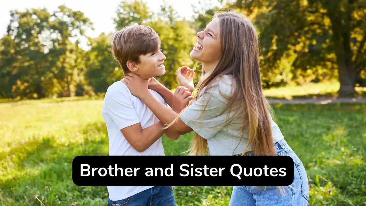 ¡Las 50 citas emocionales más desgarradoras de hermanos y hermanas que no debes perderte!