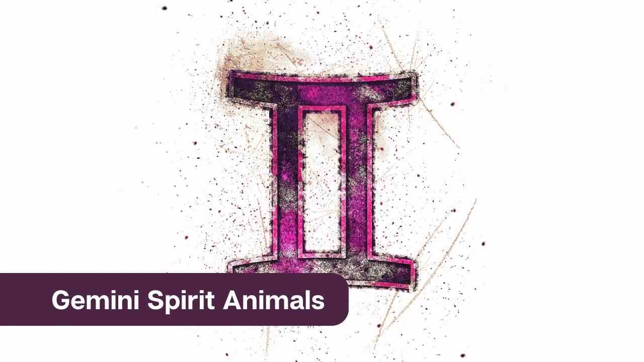 Animales espirituales de Géminis: todo lo que necesitas saber
