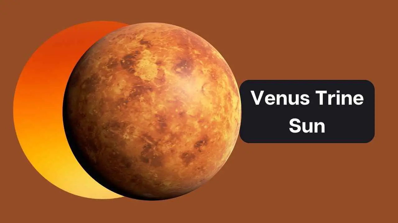 Venus Trígono Sol: una guía completa para la sinastría de Venus Trígono Sol