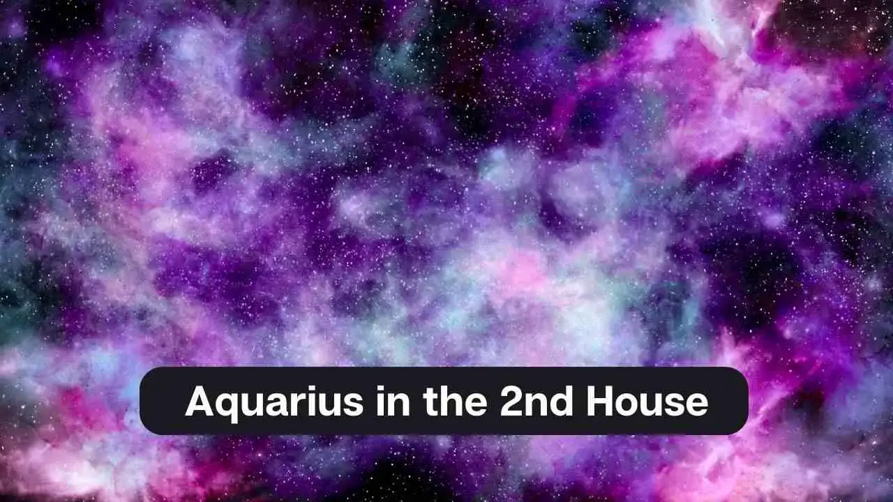 Acuario en la Casa 2: una guía completa