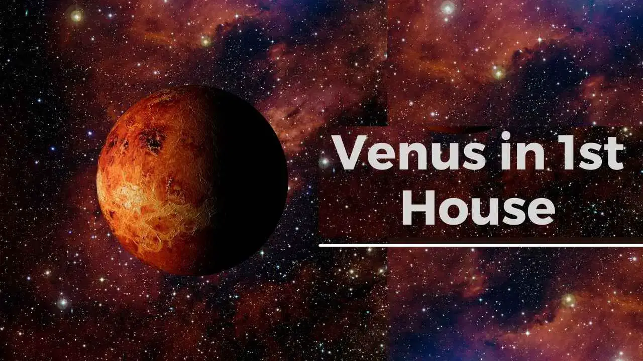 Venus en la Casa 1: ¡Aprenda sobre Venus en el matrimonio en la Casa 1 y más!