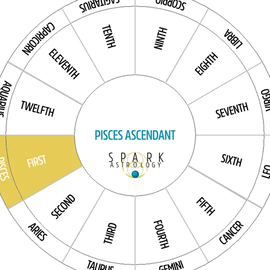 Piscis en la novena casa: una guía completa Piscis en la novena casa: una guía completa